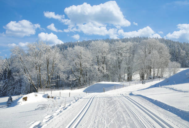 cross-country skiing in bavarian Forest,lower Bavaria,Germany cross-country skiing in bavarian Forest,lower Bavaria,Germany bavarian forest stock pictures, royalty-free photos & images