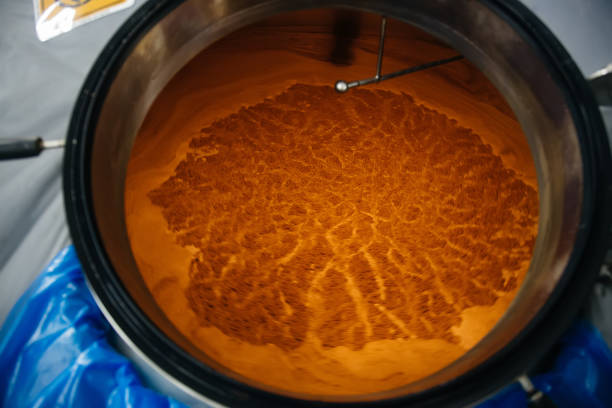 Opened brewing vat. Fermentation of beer wort inside.