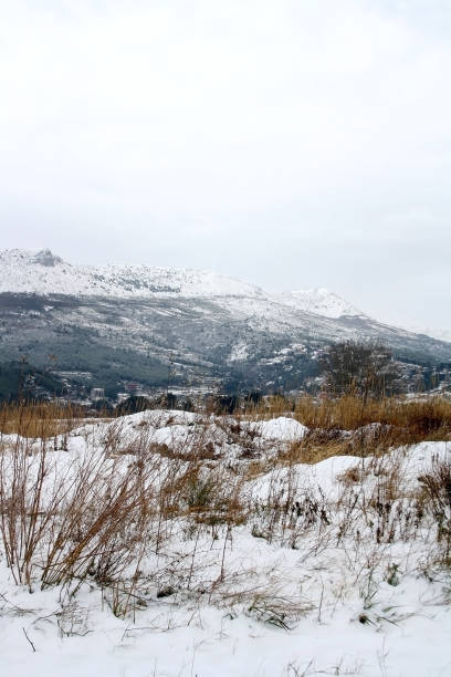 istock Snow in the Country 1198645378
