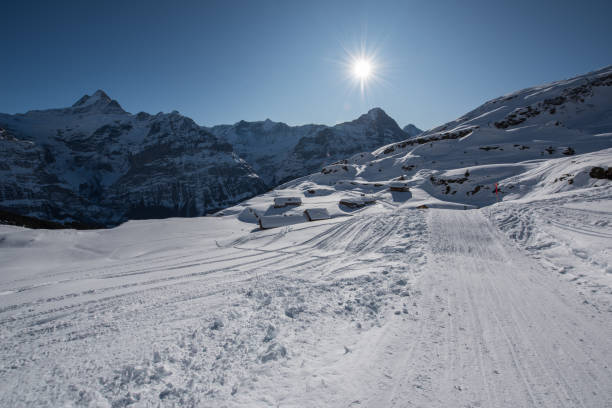 paysages d'hiver - snow european alps house grindelwald photos et images de collection