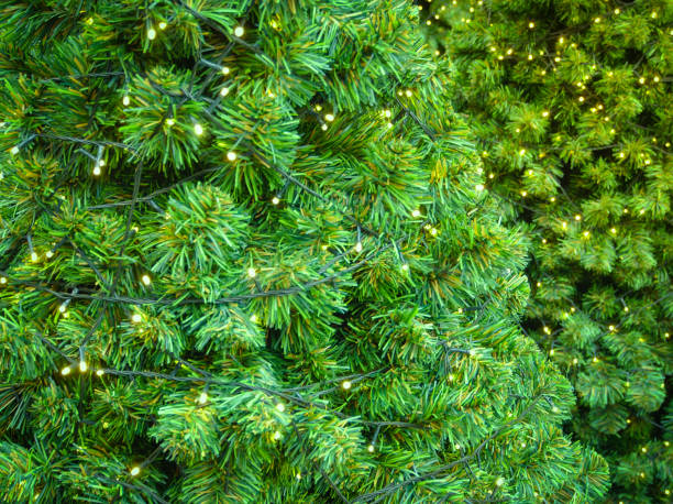 istock Green fake Christmas tree branches shaping a festive pine tree 1198647558
