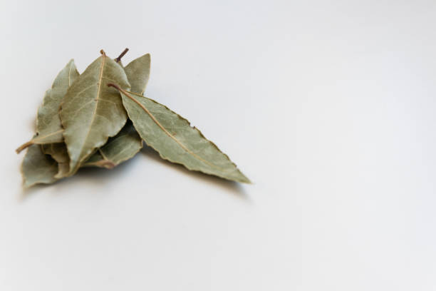 istock Dried bay leaves, aromatic seasoning ingredients 1198647599