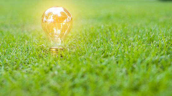 light bulb in green grass, Save earth concept