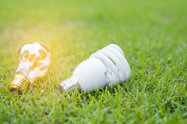 istock light bulb in green grass, Save earth concept 1198647758