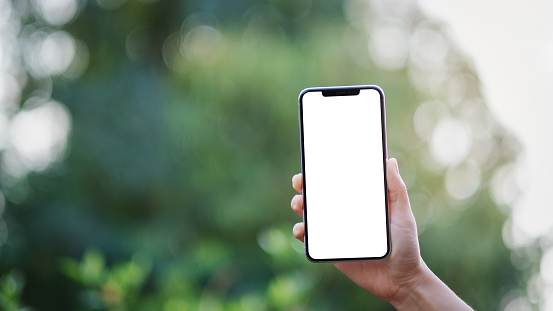 Mockup image of a hand holding black mobile phone with blank desktop screen with green nature background