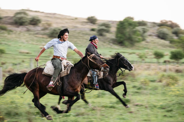 молодые аргентинские гаучо мчатся друг с другом верхом - horseback riding cowboy riding recreational pursuit стоковые фото и изображения