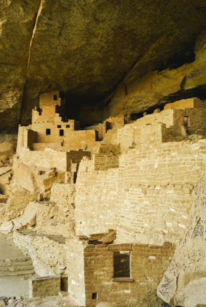 cliff palace à mesa verde, ruines d'un anasazi pueblo - american culture usa history anasazi photos et images de collection