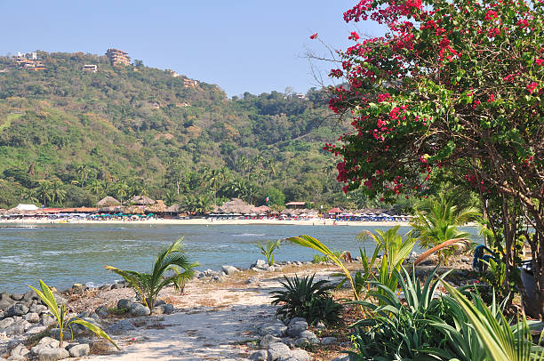 Path Along The Beach at Las Gatas stock photo