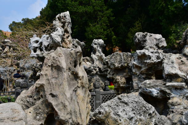 Chinese rock garden