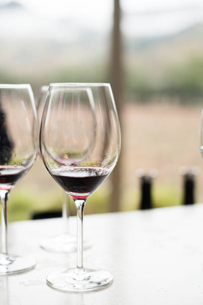 istock Glasses of wine for wine tasting 1198661877