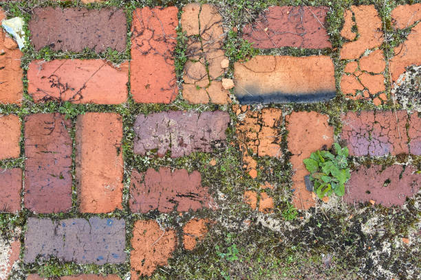 istock brick garden path cobblestone sidewalk pavers 1198662337