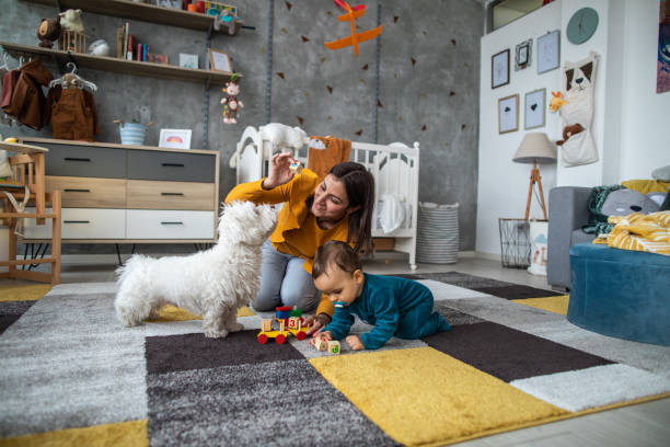 istock Mom and son playing with toy blocks on carpet 1198665147