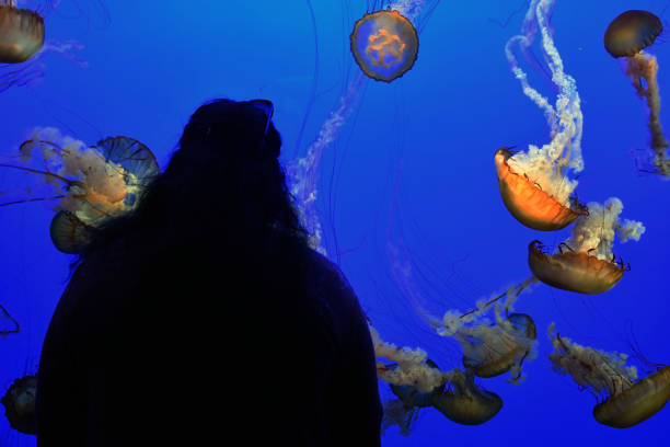 istock Silhouette of person with jellyfish 1198672074