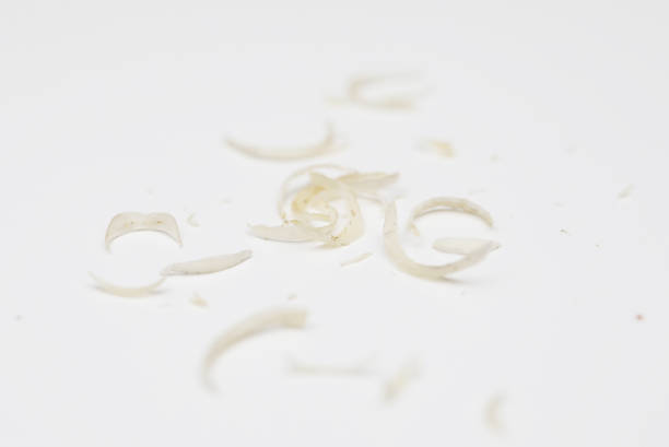 istock Pile of nail clipping 1198674136