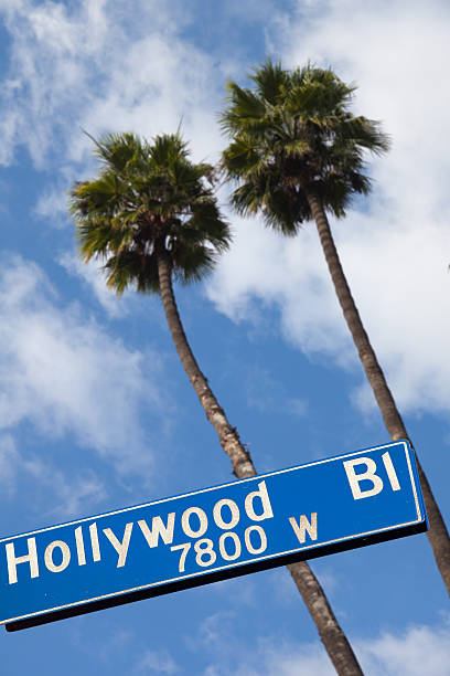 istock Hollywood boulevard plate with palm trees 119867683