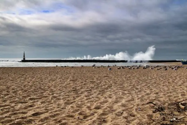 Photo of Giant waves breaking on the breakwater and the lighthouse