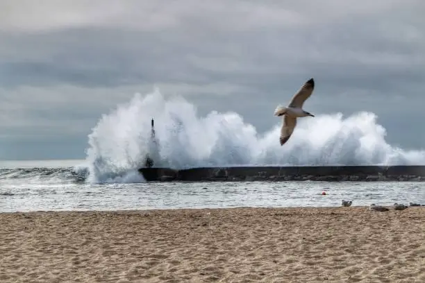 Photo of Giant waves breaking on the breakwater and the lighthouse