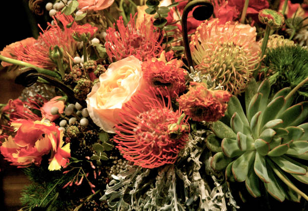 istock Orange color Flower portrait 1198684412