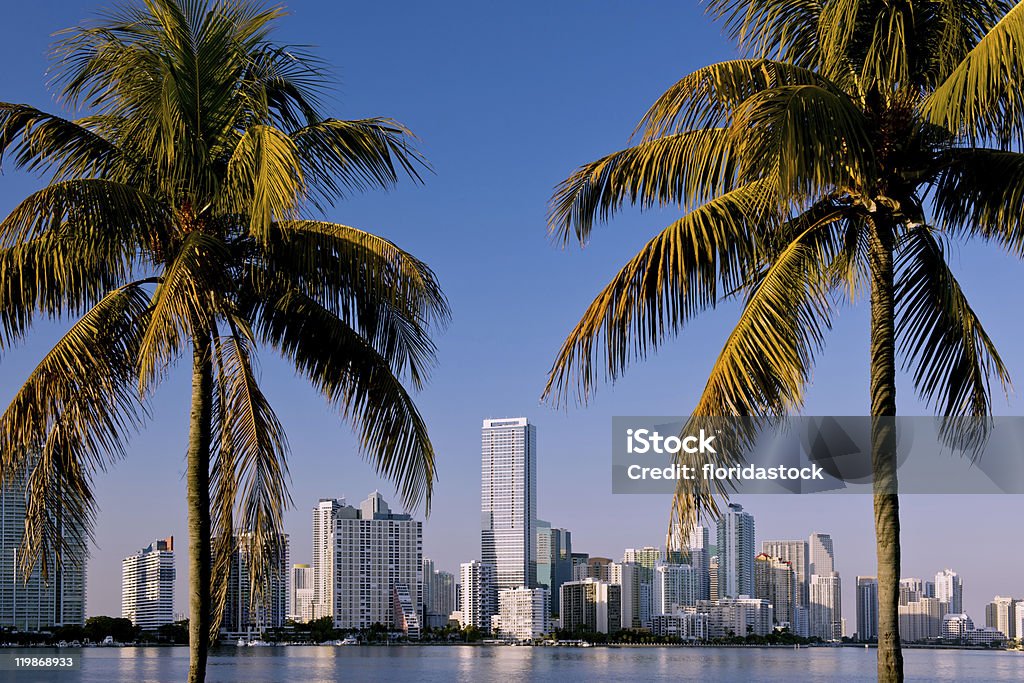 miami bayfront skyline in late afternoon miami bayfront skyline on cloudless late winter afternoon Tourist Resort Stock Photo