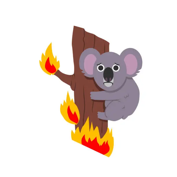 Vector illustration of Koala in a tree in Australian bushfires surrounded by flames of fire. Vector flat illustration.