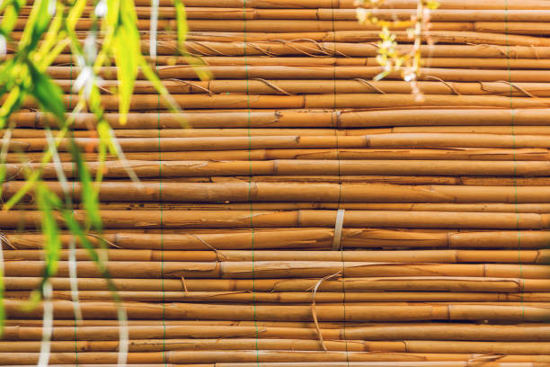 istock Horizontal bamboo blinds. Bamboo curtain for use as nature background. 1198694238