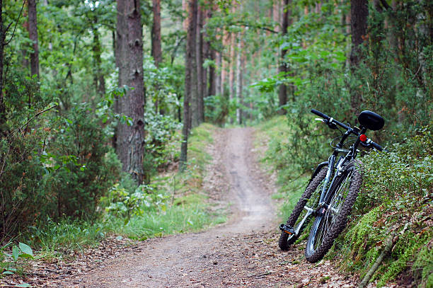 istock Mountain bike on the forest path. 119869554