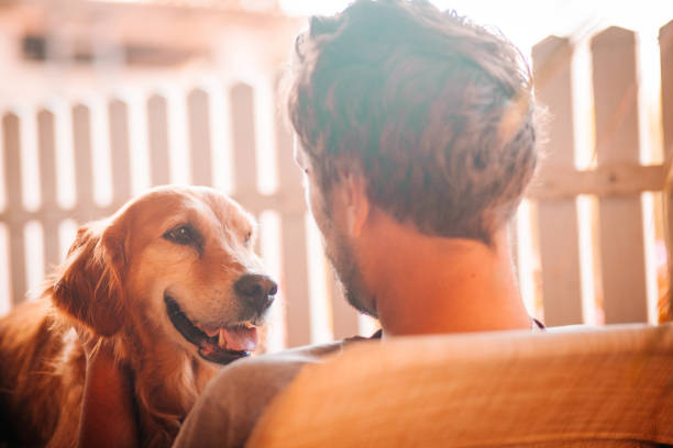 istock Best pet in the world 1198695565