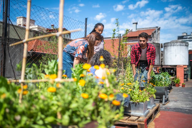 группа молодых людей, изутовивахах городское садоводство - vegetable garden urban scene city life community garden стоковые фото и изображения