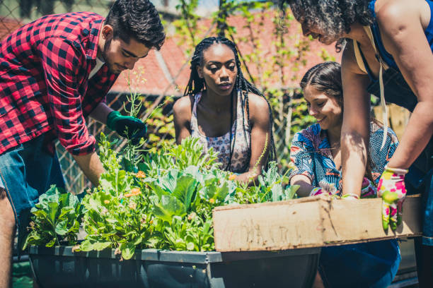 молодые люди учатся городскому садоводству - vegetable garden urban scene city life community garden стоковые фото и изображения