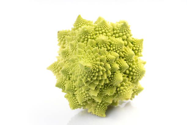 un broccoli romanesco isolato su bianco - romanesque broccoli cauliflower cabbage foto e immagini stock