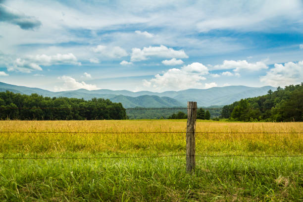 field, fence, and mountains in cades cove in great smoky mountains national park - great smoky mountains gatlinburg great smoky mountains national park appalachian mountains imagens e fotografias de stock