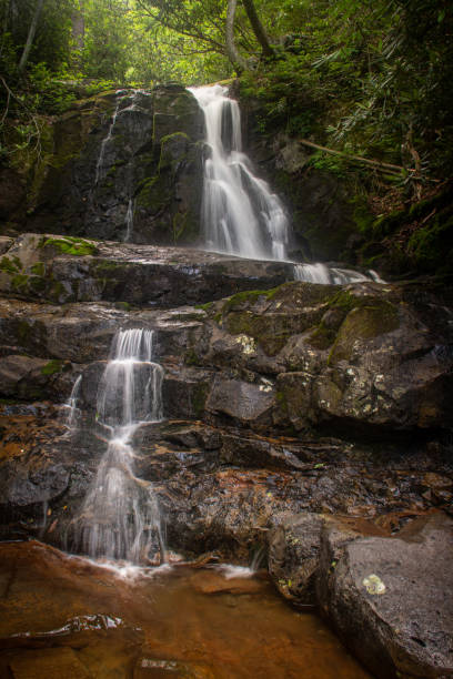 laurel falls - una cascada en el parque nacional de las grandes montañas humeantes - gatlinburg waterfall appalachian mountains laurel falls fotografías e imágenes de stock