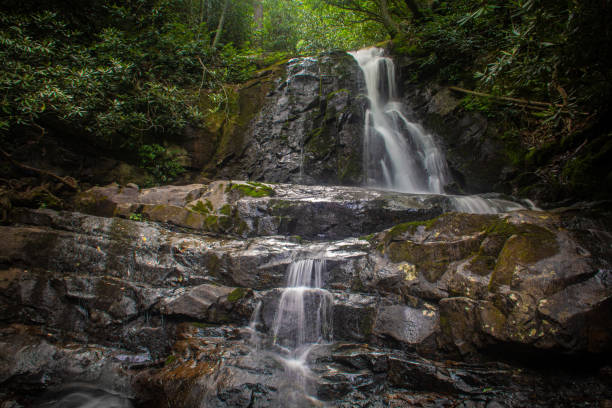 laurel falls - una cascada en el parque nacional de las grandes montañas humeantes - gatlinburg waterfall appalachian mountains laurel falls fotografías e imágenes de stock