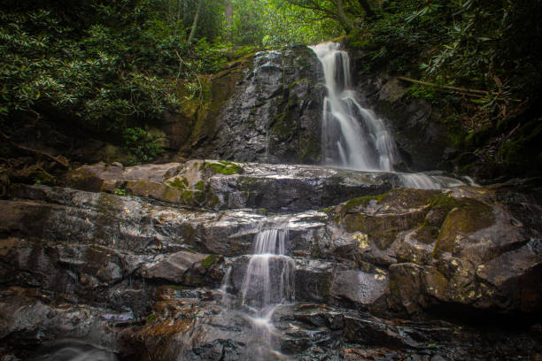 로렐 폭포 - 그레이트 스모키 마운틴 국립공원의 폭포 - gatlinburg waterfall appalachian mountains laurel falls 뉴스 사진 이미지