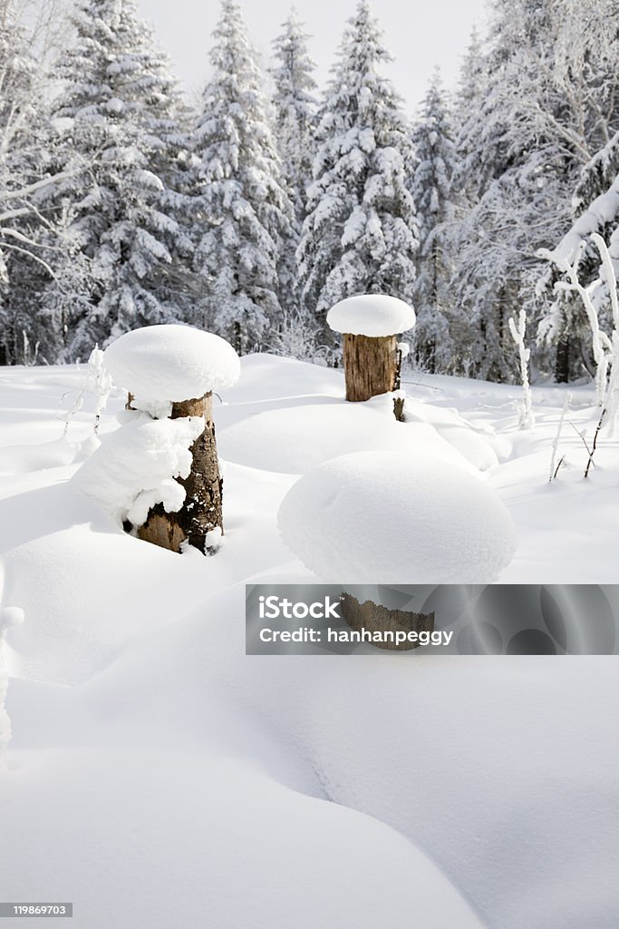 Зимний пейзаж лес snowcapped - Стоковые фото Без людей роялти-фри