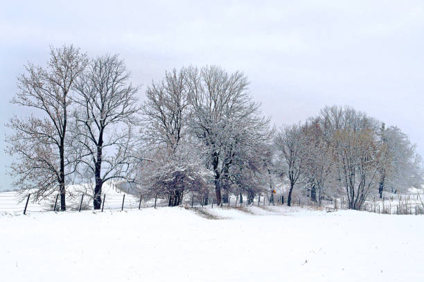 istock rural winter landscape 1198698536