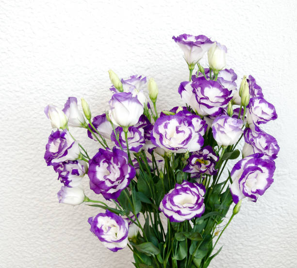 istock bouquet of beautiful eustoma flowers 1198700955