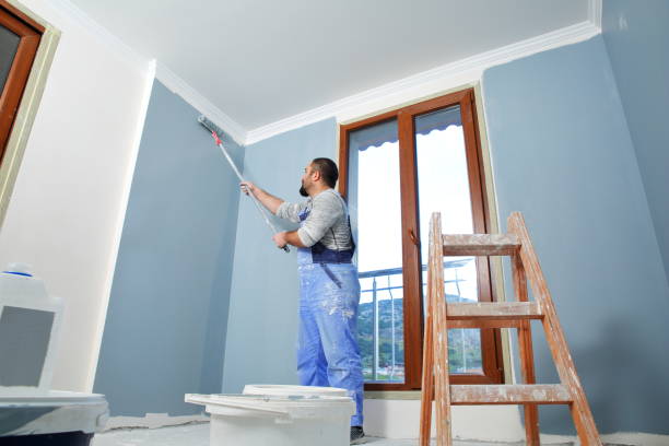 homem do pintor no trabalho - house painter painting paint men - fotografias e filmes do acervo