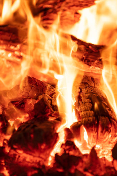istock Charcoal and Wood Fire 1198703909
