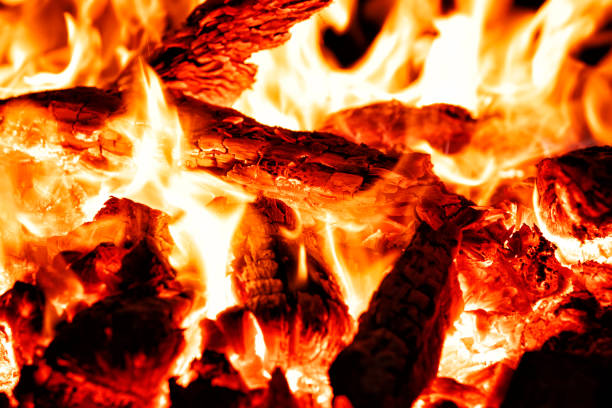 istock Charcoal and Wood Fire 1198703913