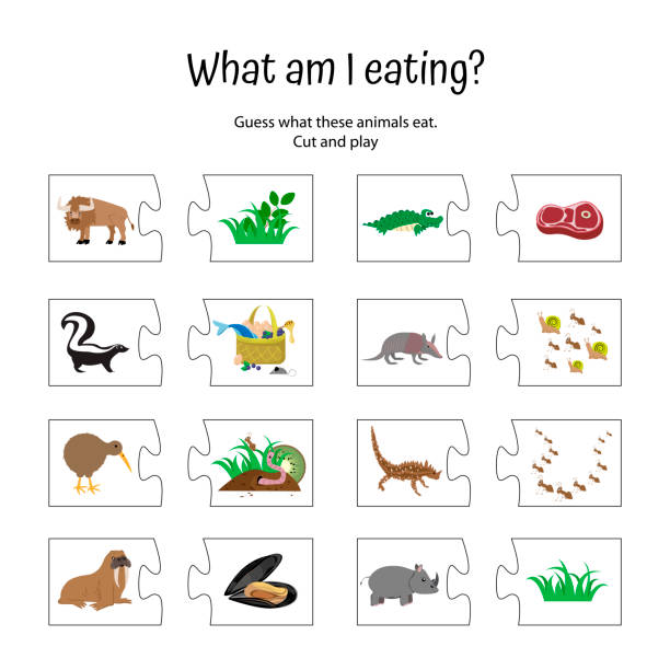 What Am I Eating Animal Food Puzzle Game For Children Zoo Education Of  Preschoolers Activity For Kids Logical Quiz Worksheet Stock Illustration -  Download Image Now - iStock