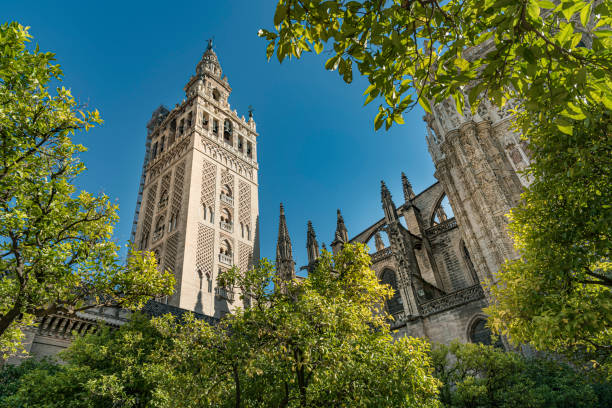istock Seville Cathedral viewed from the Triumph Square, Spain. 1198705193