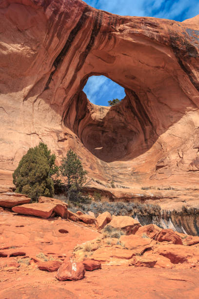 istock Bowtie Arch Landscape, Moab Utah 1198706402