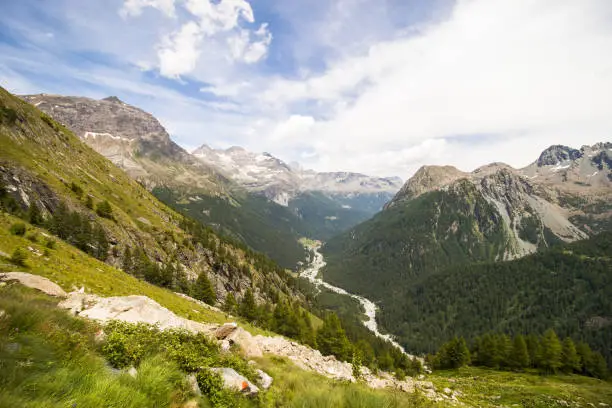 The valley of Chiareggio, in Valtellina, in the middle of summer. Seen from the Del Grande Camerini hut.