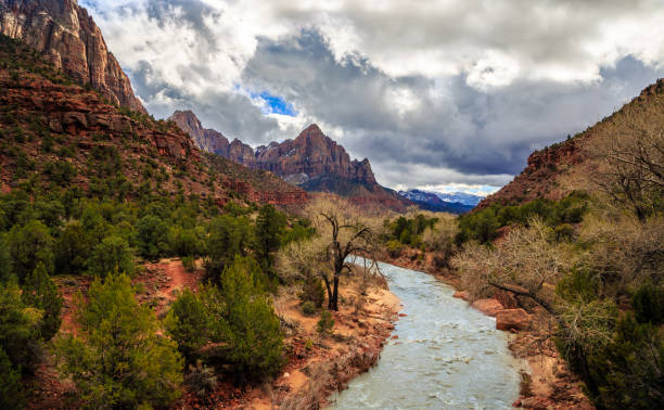 istock The River Through Zion & The Watchman 1198710960