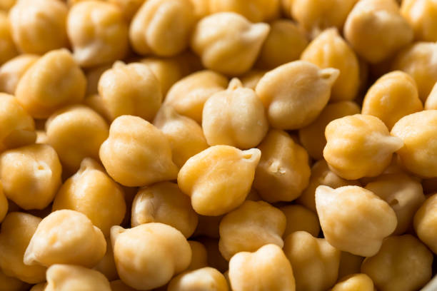 istock Raw Organic Garbanzo Beans Chickpeas 1198711215