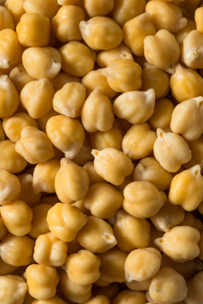 istock Raw Organic Garbanzo Beans Chickpeas 1198711310