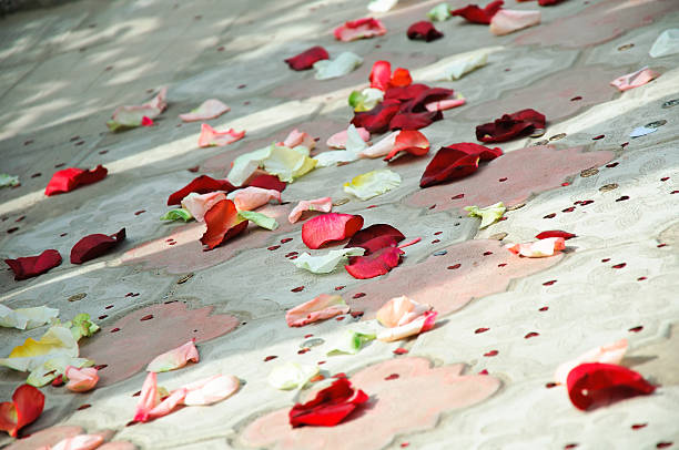 istock Petals of roses scattered on a floor 119871220