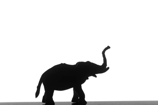 istock Black silhouette of an elephant on a white background. 1198713307