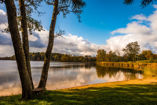 istock Vasaknas lake in Lithuania 1198713323